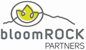 BloomRock Partners